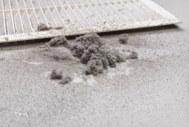 Best Professional Duct Cleaning Services  in Alpine, CA