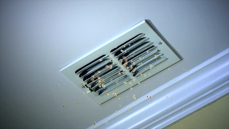 Best Best Air Duct Cleaning Company  in Alpine, CA