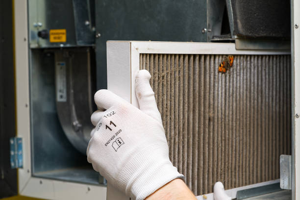 Best Ductwork Cleaning Services  in Alpine, CA