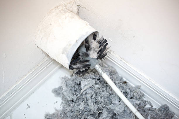 Best Emergency Air Duct Cleaning  in Alpine, CA